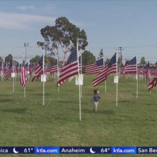 11-11-24 - Posted by KTLA.com - Our Veterans Day celebration was on KTLA honor guard from American Legion Post 835 Rancho Cucamonga, CA. Thousands of flags fill fields across Southern California for Veterans Day with some celebrations ranging from flag-raising ceremonies to military vehicle display...