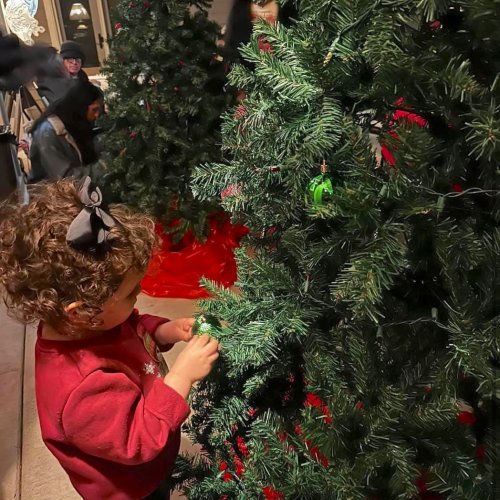 12-8-24 - Two junior members from ALA District 18 California decorating Christmas Trees for the Baldwin Park veteran housing. They helped our senior members as usual and had a lot of fun! Awesome project 18th District President Stephanie Huff. Article & Photo Credit: Maureen O'Brien Sacco.