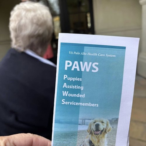 1-25-25 - Post by Marcy Naungayan Velador - ALA Department of California President Linda Hayes visited Paws for Purple Hearts. This wonderful organization is in Menlo Park. These dogs assist wounded Veterans after two years of training. This was such a treat for Madam President.