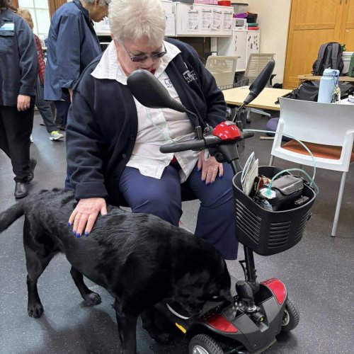 1-25-25 - Post by Marcy Naungayan Velador - ALA Department of California President Linda Hayes visited Paws for Purple Hearts. This wonderful organization is in Menlo Park. These dogs assist wounded Veterans after two years of training. This was such a treat for Madam President.