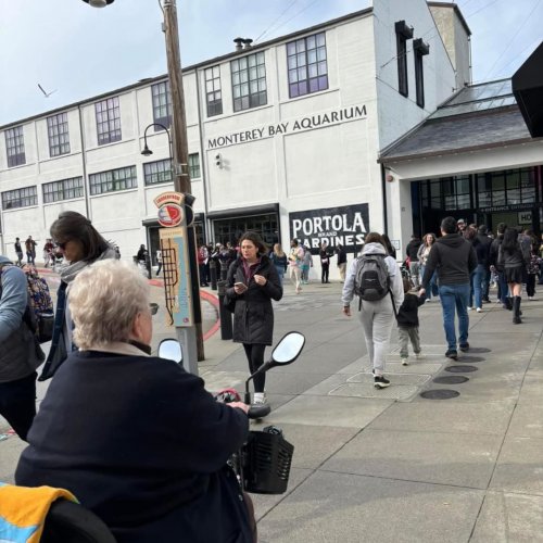 1-26-25 - Photo credit: Marcy Velador - ALA California Department President, Linda Hayes, was treated to a trip to the Monterey Bay Aquarium and a cruise along the coast. A big Thank You to Jon and Susan Baker.