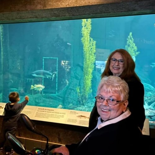 1-26-25 - Photo credit: Marcy Velador - ALA California Department President, Linda Hayes, was treated to a trip to the Monterey Bay Aquarium and a cruise along the coast. A big Thank You to Jon and Susan Baker.