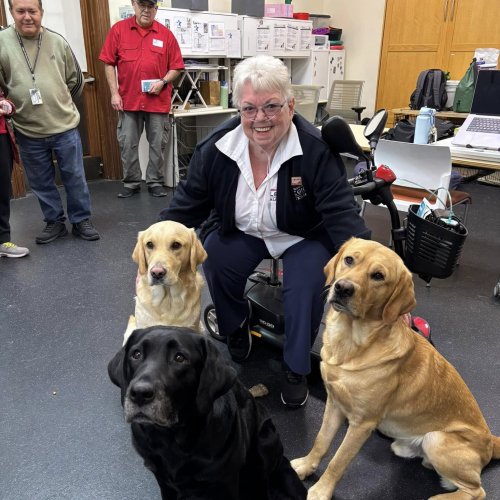 1-25-25 - Post by Marcy Naungayan Velador - ALA Department of California President Linda Hayes visited Paws for Purple Hearts. This wonderful organization is in Menlo Park. These dogs assist wounded Veterans after two years of training. This was such a treat for Madam President.