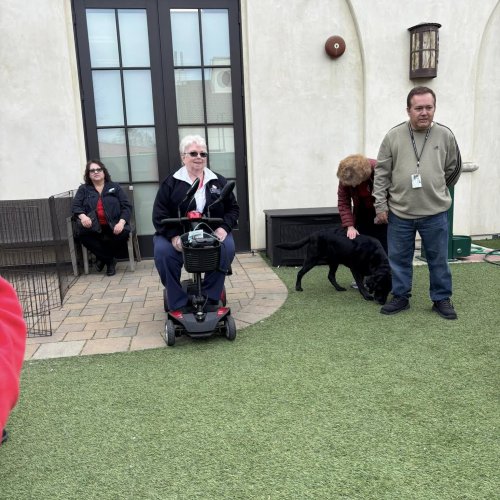 1-25-25 - Post by Marcy Naungayan Velador - ALA Department of California President Linda Hayes visited Paws for Purple Hearts. This wonderful organization is in Menlo Park. These dogs assist wounded Veterans after two years of training. This was such a treat for Madam President.