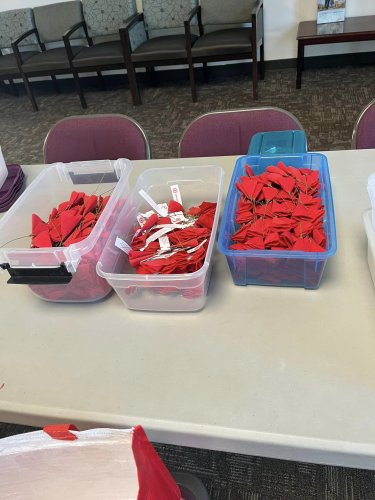 10-23-24 - Posted by Cynthia Mayfield - Let’s give credit to our ladies of Leisure World Unit 327. They have been so dedicated with making poppies for our District and Department. Thank you so much with sharing your time with our Poppy Program.