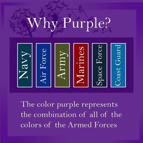 4-15-24 - From Facebook - Purple Up Day for Military Kids.